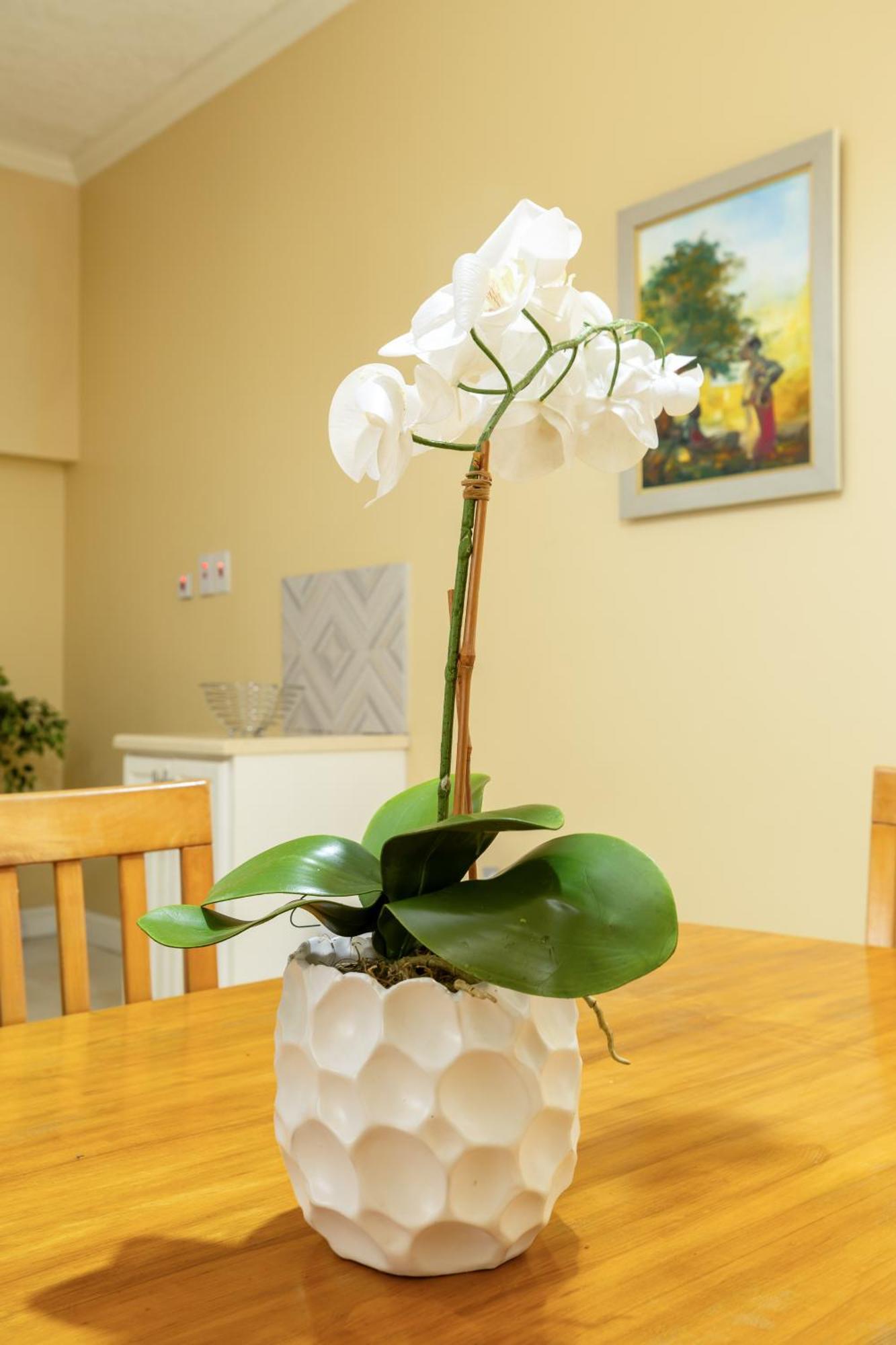 Choose To Be Happy At The Westbury - Two Bedroom Apartment Kingston Exterior foto